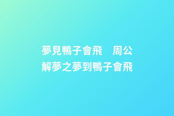 夢見鴨子會飛　周公解夢之夢到鴨子會飛